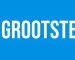 De Grootste Shop logo banner witte lettertype